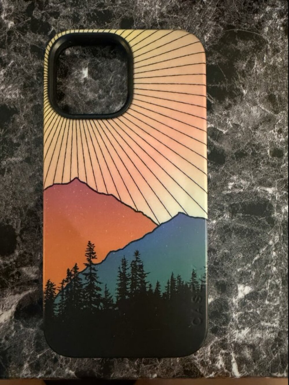 iPhone 13 ProMax Casely Bold Case